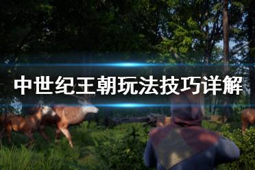  每类技能的第一个技能统一都是该类技能的知识