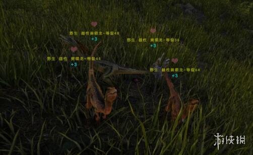 游侠网