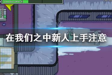 《在我们之中》新人上手怎么玩 新人上手注意事项