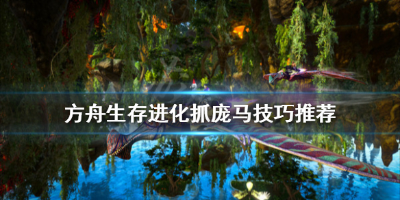 游侠网