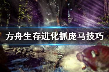 《方舟生存进化》庞马怎么抓 抓庞马技巧推荐