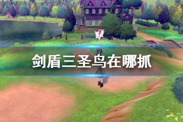  以上就是剑盾三圣鸟捕捉攻略的全部内容了