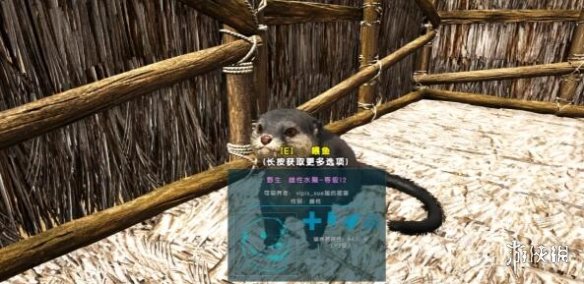 游侠网5