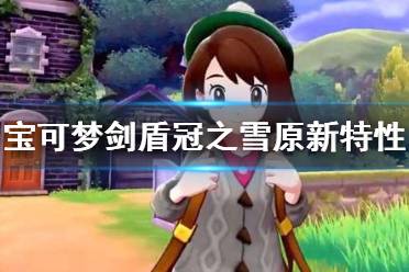  以上就是宝可梦剑盾冠之雪原新特性介绍的全部内容了