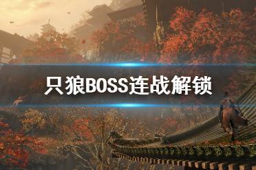 应该是修罗、断绝不死和夺回神子三个连战