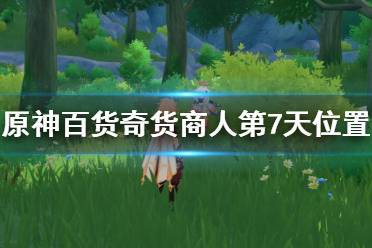 以上就是原神百货奇货商人第7天位置分享了