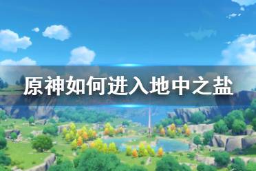 所以呢今天小编在这里给大家带来了原神地中之盐进入方法分享