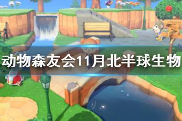  以上就是动物森友会11月北半球新增生物一览的全部内容了