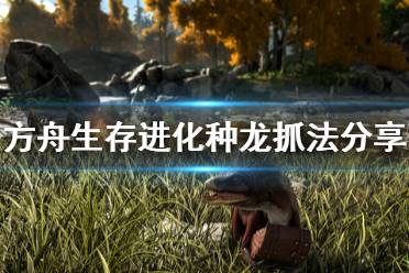 今天小编给大家带来方舟生存进化种龙抓法分享