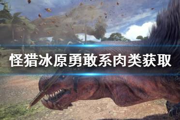 在16区：汗水广场通往营地的那条通道上