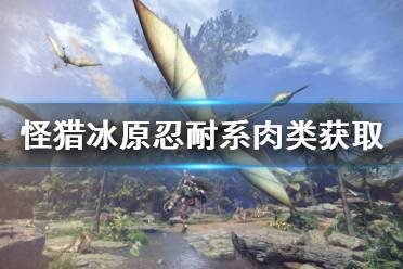  棘肉：完成 3 星主线任务「雷电奔走的飞雷龙」