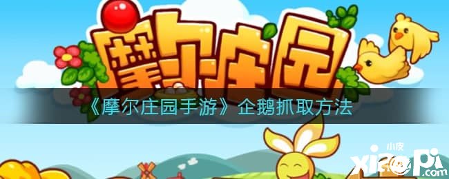 《摩尔庄园手游》企鹅抓取要领