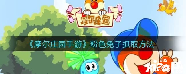 《摩尔庄园手游》粉色兔子抓取要领