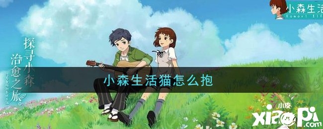 小森糊口手游猫怎么抱