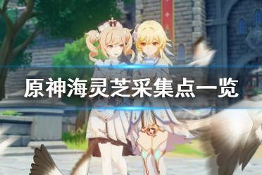 以上就是原神海灵芝采集点一览全部内容