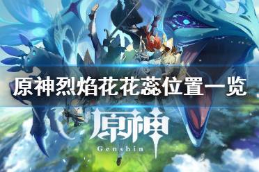 风龙废墟 蒙德城周围 达达乌帕谷 石门无妄坡附近 明蕴镇 翠玦坡归元离周围 庆云顶附近 遁玉陵到青墟浦范围 孤云阁 以