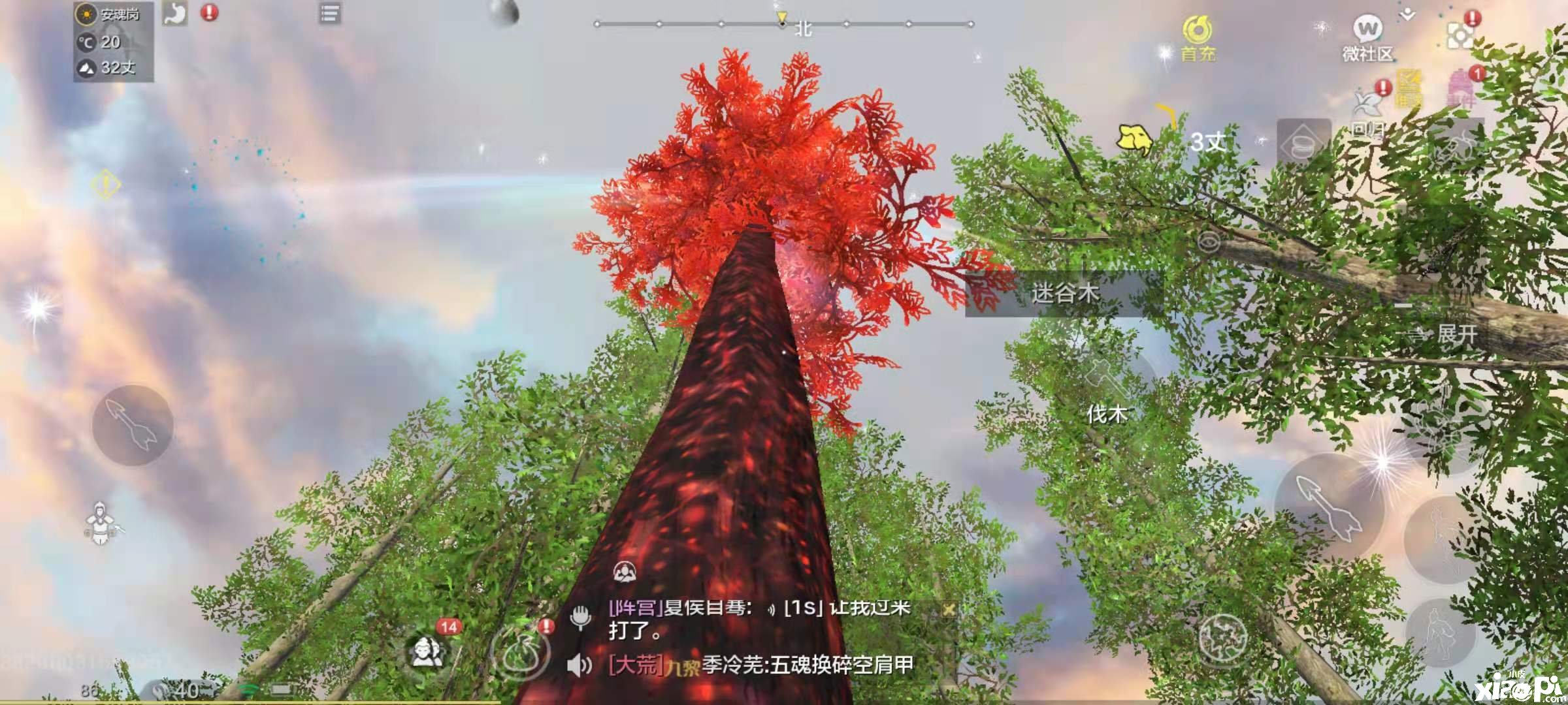 妄想山海全新植物怎么砍伐 百年树砍伐能力先容