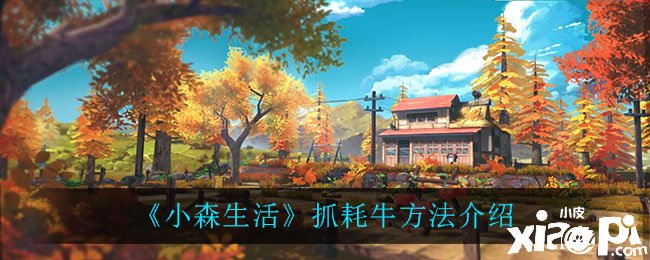 《小森糊口》手游抓耗牛要领先容
