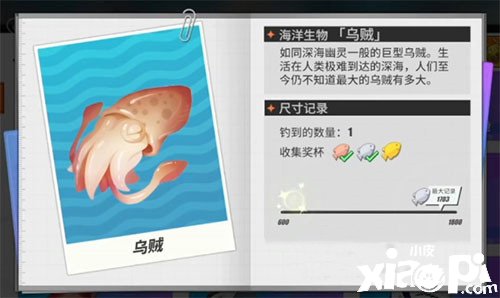《帆海王热血航线》乌贼垂钓位置先容
