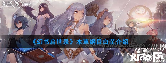 《幻书启世录》本草纲目白芷先容