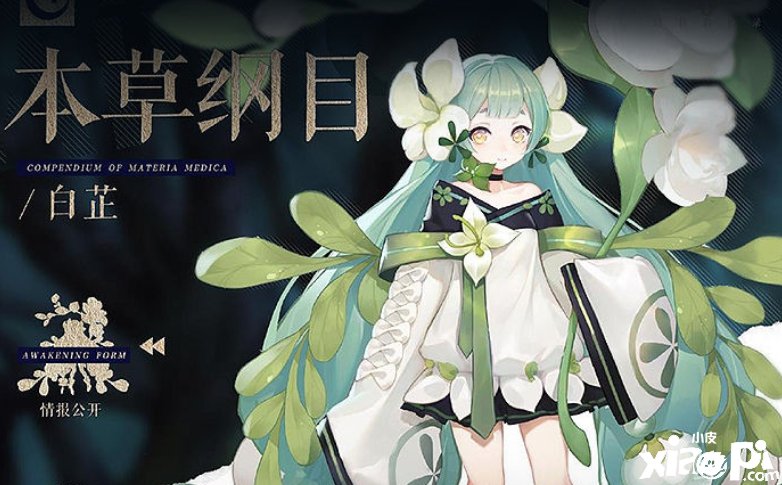 《幻书启世录》白芷技术先容