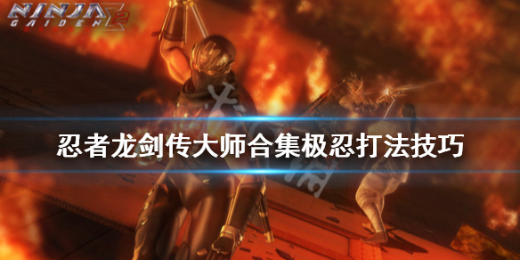 游侠网1