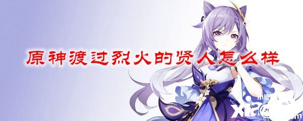 原神度过猛火的贤人怎么样
