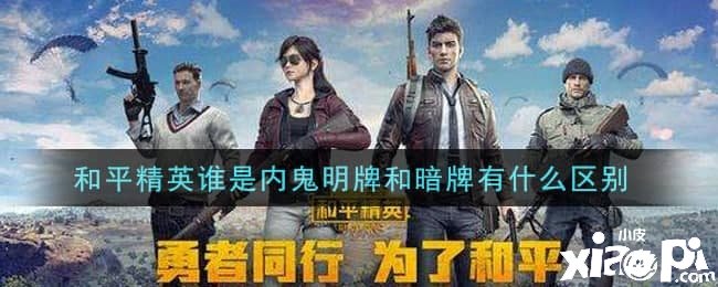 僻静精英谁是内鬼明牌和暗牌有什么区别