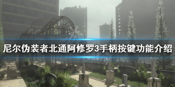 游侠网1