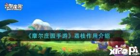 会有各种各样资源的需求