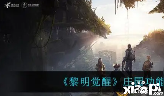 黎明觉醒游戏中的白金卡是啥？