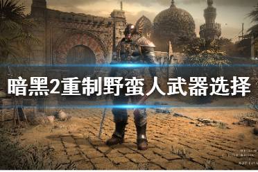 甚至盾牌和剑都用精神符文之语(一共+4所有技能)
