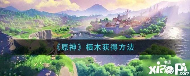 《原神》栖木怎么得到？栖木得到要领