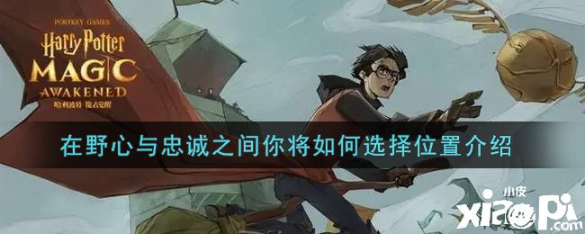 《哈利波特：邪术觉醒》在野心与忠诚之间你将如何选择位置先容