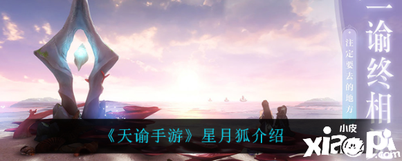 天谕手游星月狐怎么样？星月狐先容