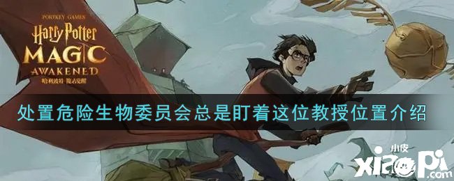 《哈利波特：魔法觉醒》处置危险生物委员会总是盯着这位教授位置介绍