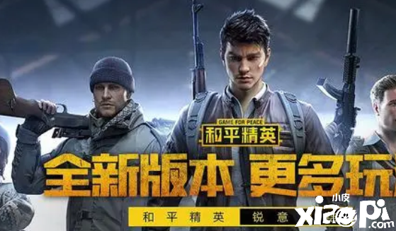 什么样的枪在僻静精英中利用结果好呢？