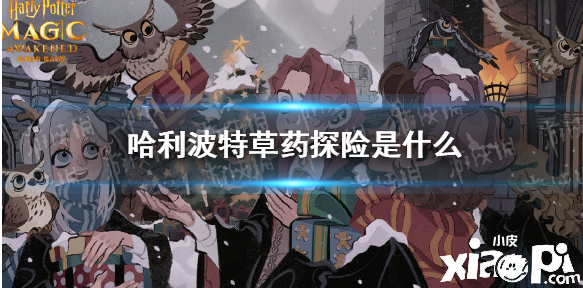 《哈利波特》草药探险玩法攻略