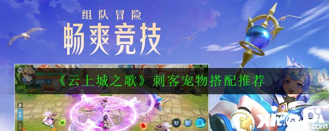 《云上城之歌》刺客宠物搭配推荐