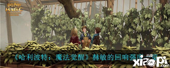 《哈利波特：邪术觉醒》赫敏的反响强度一览