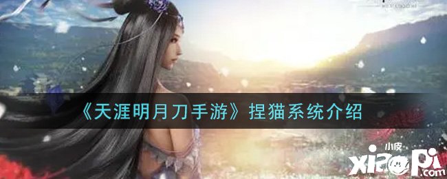 《天涯明月刀手游》捏猫系统先容