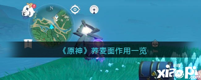 《原神》荞麦面浸染一览