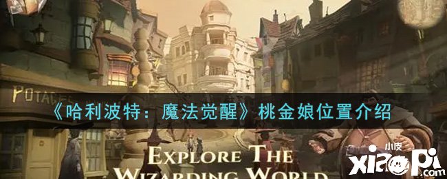 《哈利波特：邪术觉醒》桃金娘位置