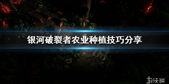 游侠网1