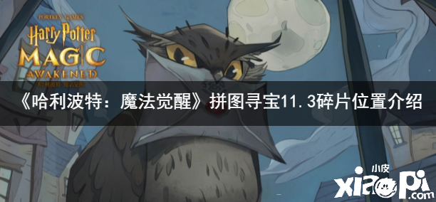 《哈利波特：邪术觉醒》2021拼图寻宝11.3碎片位置先容