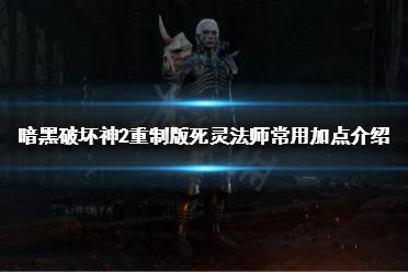 《暗黑破坏神2重制版》死灵法师有哪些流派?死灵法师常用加点介绍