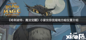 《哈利波特:魔法觉醒》小家伙你找错地方啦位置介绍