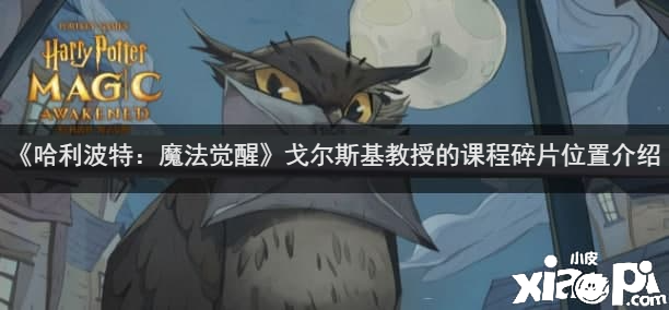 《哈利波特：邪术觉醒》戈尔斯基传授的课程碎片位置先容