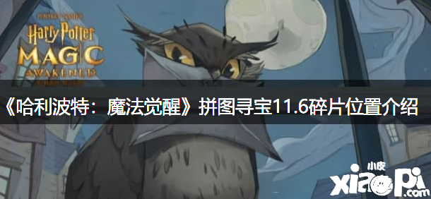 《哈利波特：邪术觉醒》拼图寻宝11.6碎片位置先容