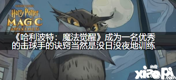 《哈利波特：邪术觉醒》成为一名优秀的击球手的诀窍虽然是没日没夜地练习